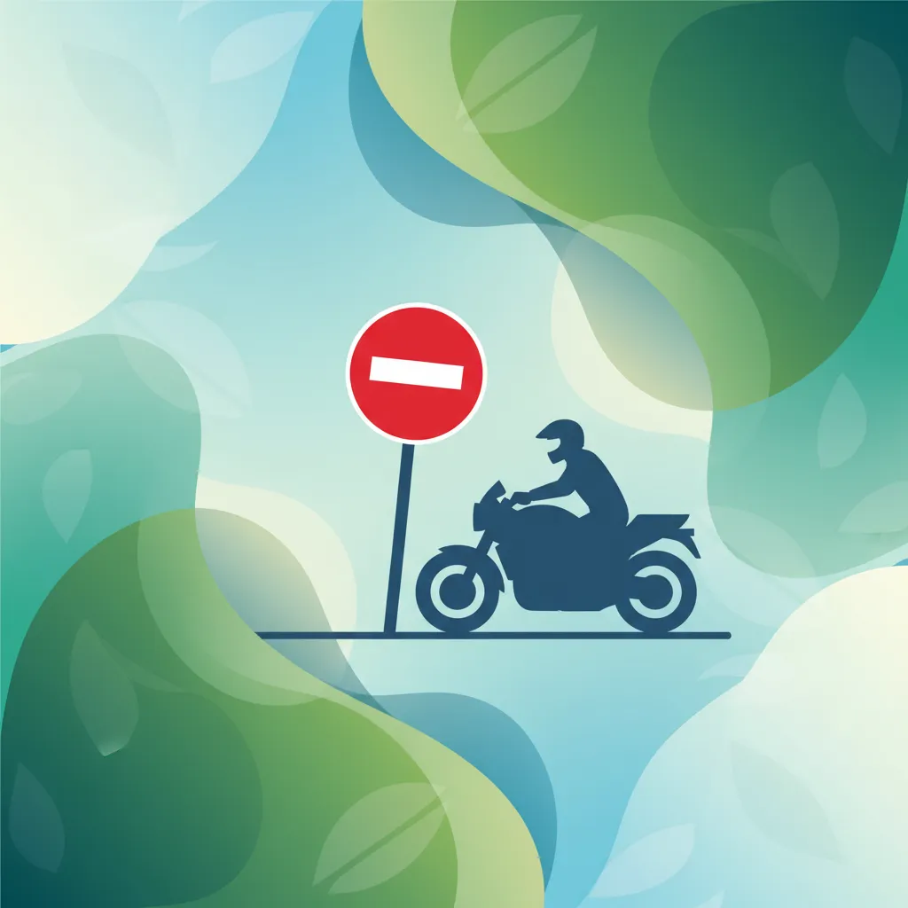 Regulierende Verkehrszeichen und ihre Auswirkungen auf Motorradfahrer Unterrichtsbild