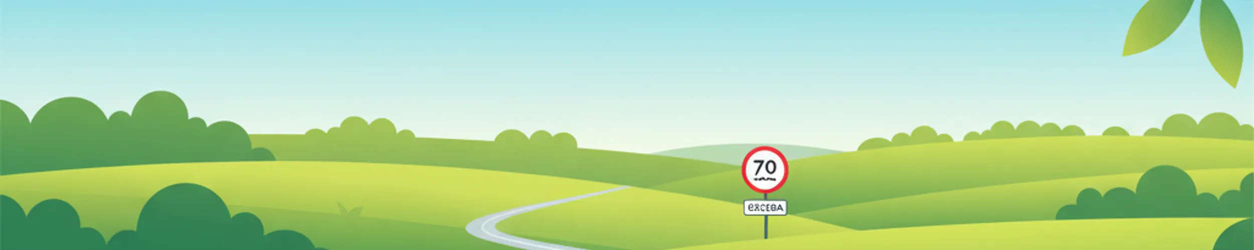 Adaptation de la Vitesse sur les Routes de Campagne Polonaises