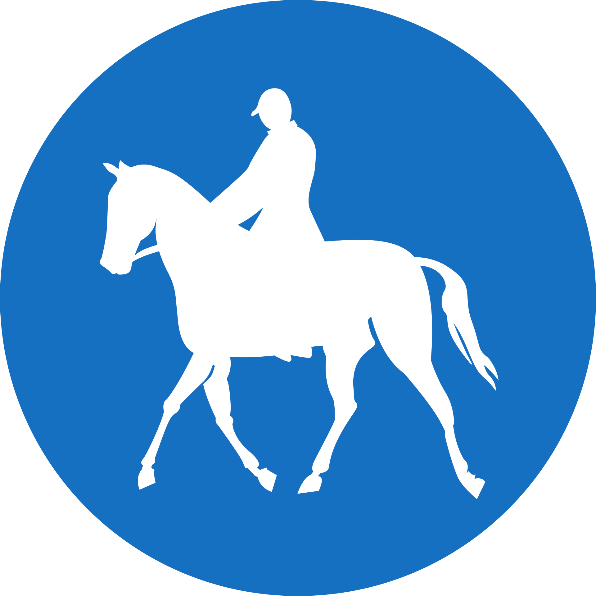 17b - Track only for horse riders road sign