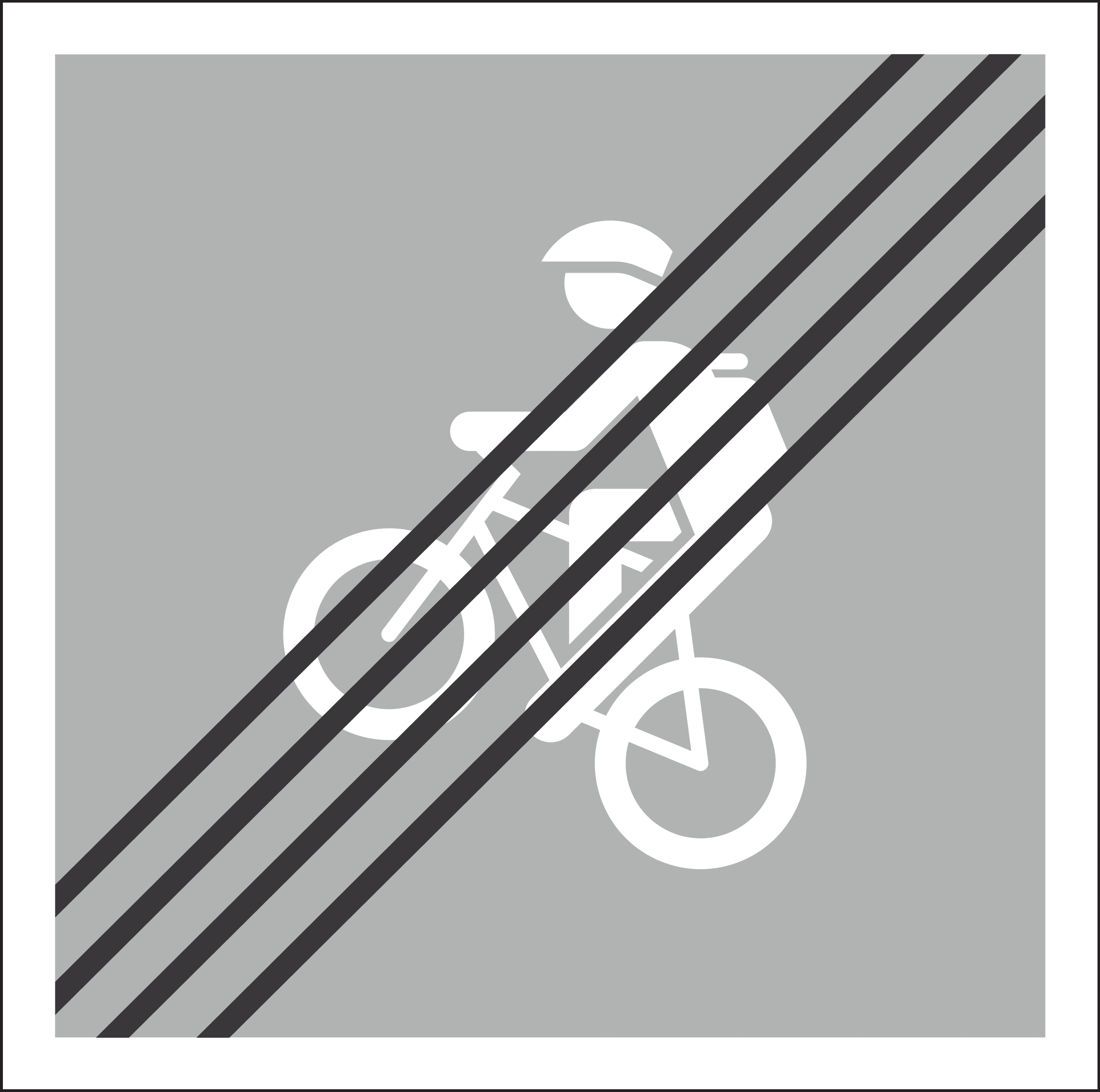 4.51.4 - Ende einer bestimmten Route (hier Mountainbike-Route) Verkehrsschild