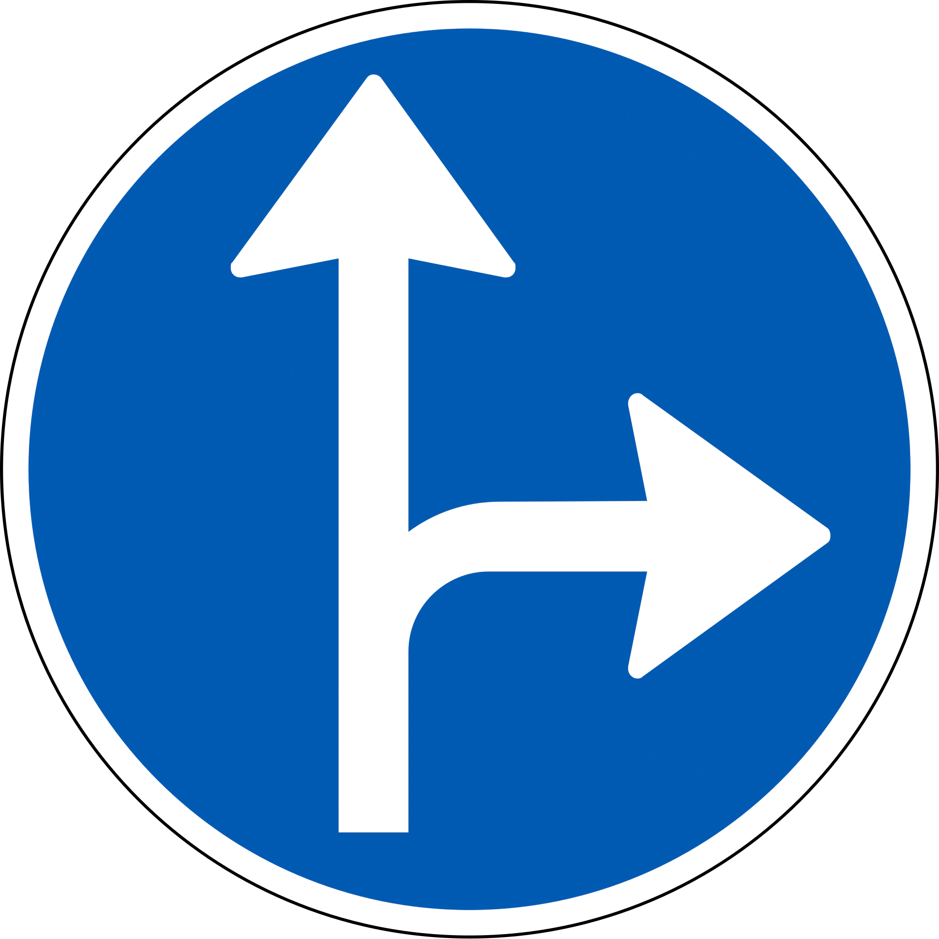 D11.7 - Vorgeschriebene Fahrtrichtung Verkehrsschild