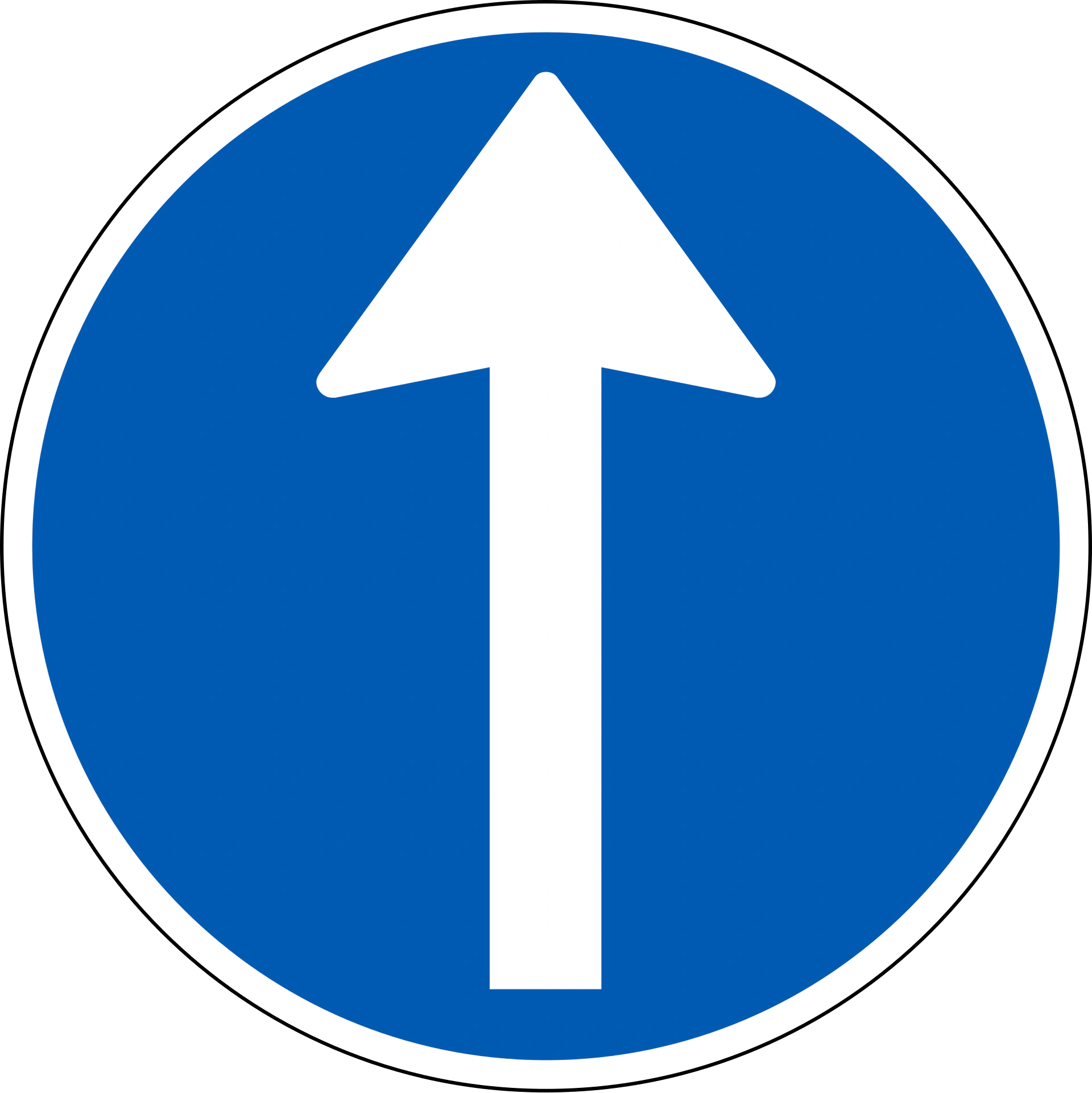D11.1 - Vorgeschriebene Fahrtrichtung Verkehrsschild