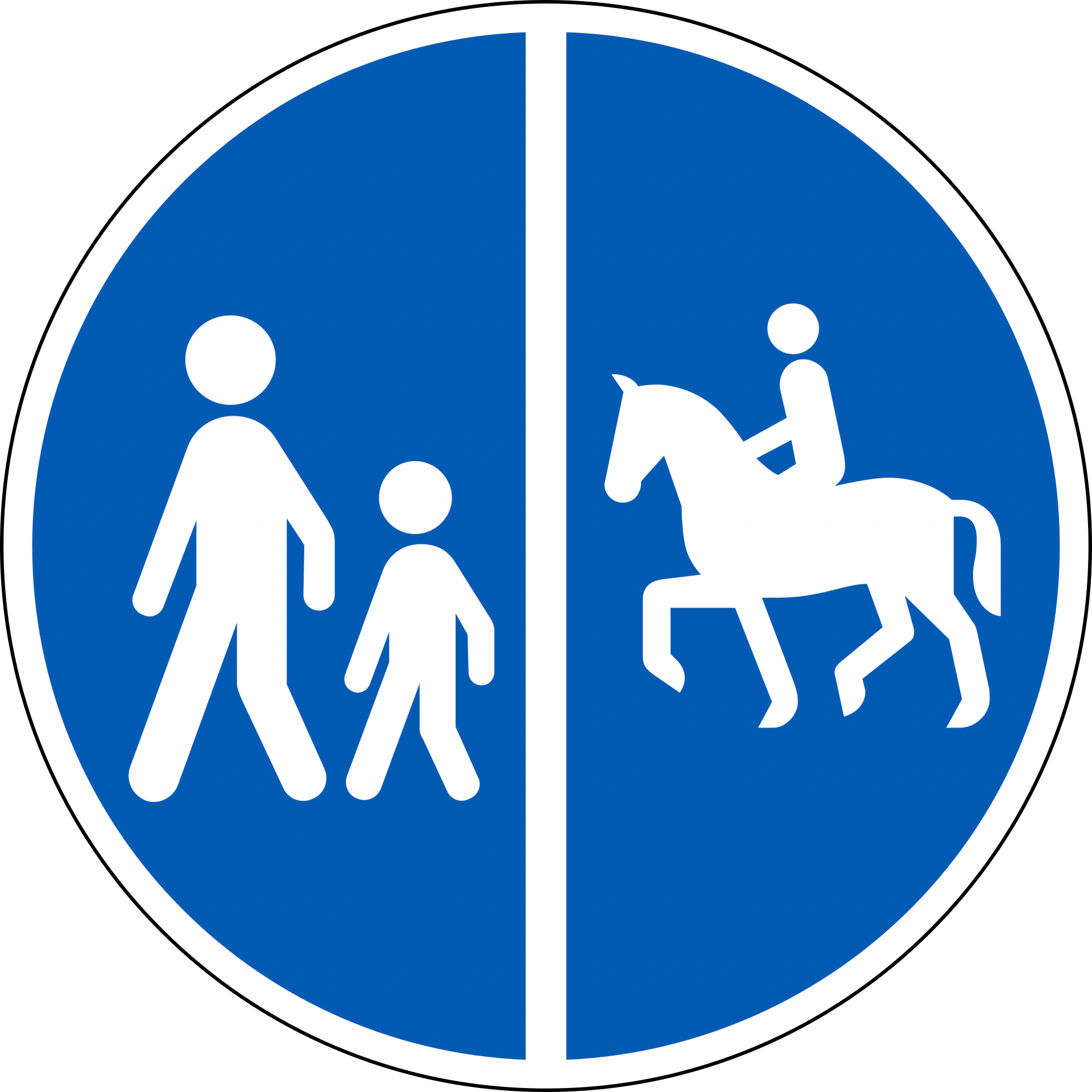 D26.1 - Getrennter Weg Verkehrsschild