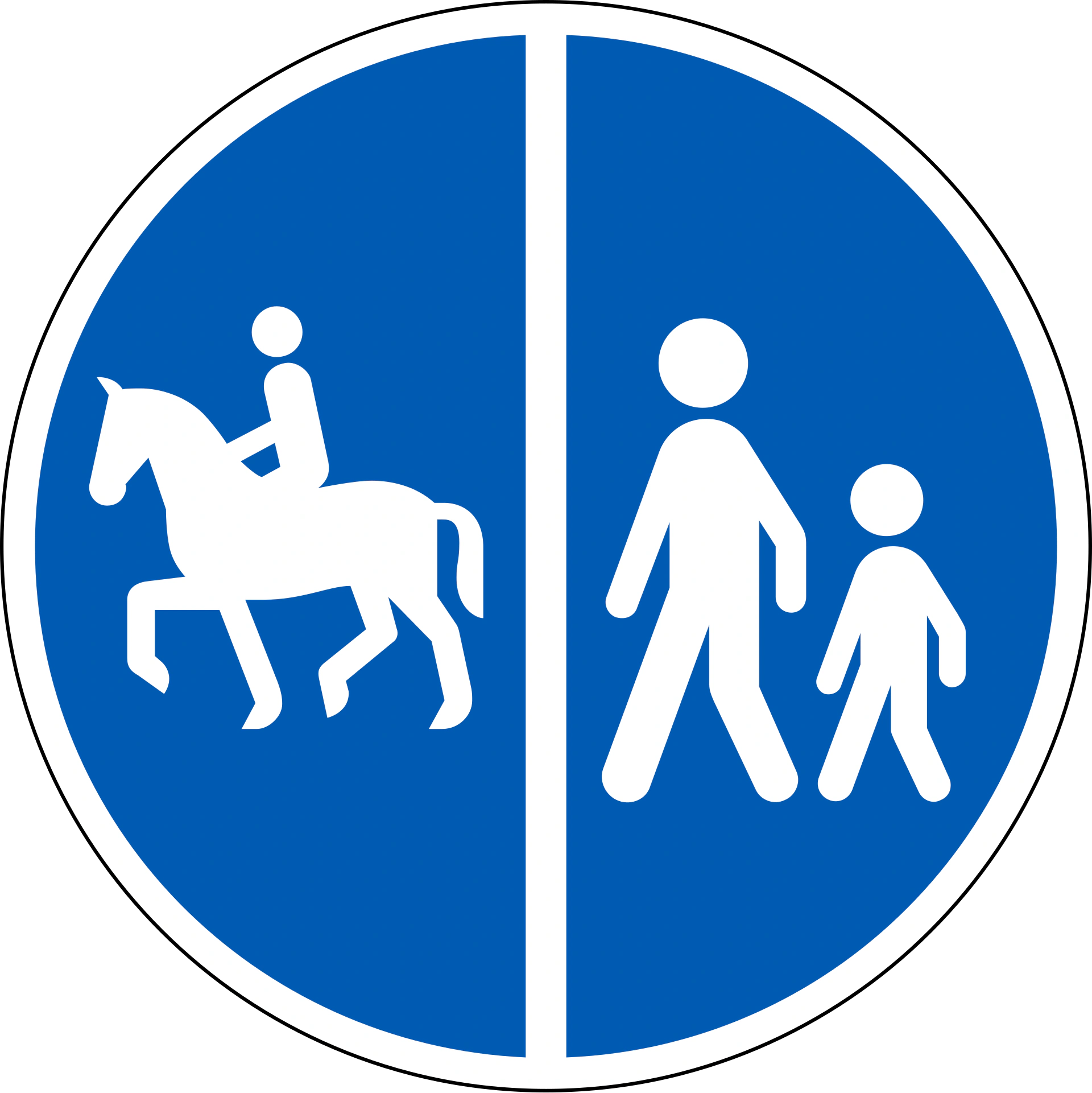 D26.5 - Getrennter Weg Verkehrsschild