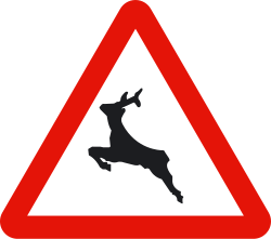 P-24 - Reh oder Wildtiere Verkehrsschild