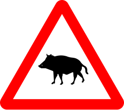 P-24a - Wildschweine Verkehrsschild