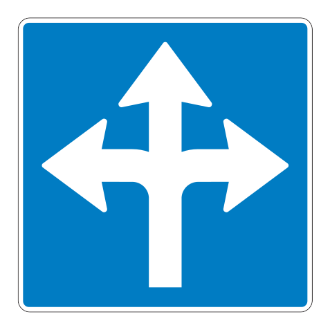501e - Vorgeschriebenes Fahrstreifenzeichen 501e Verkehrsschild