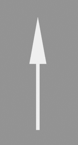 P-8a - Richtungspfeil: Geradeaus Verkehrsschild